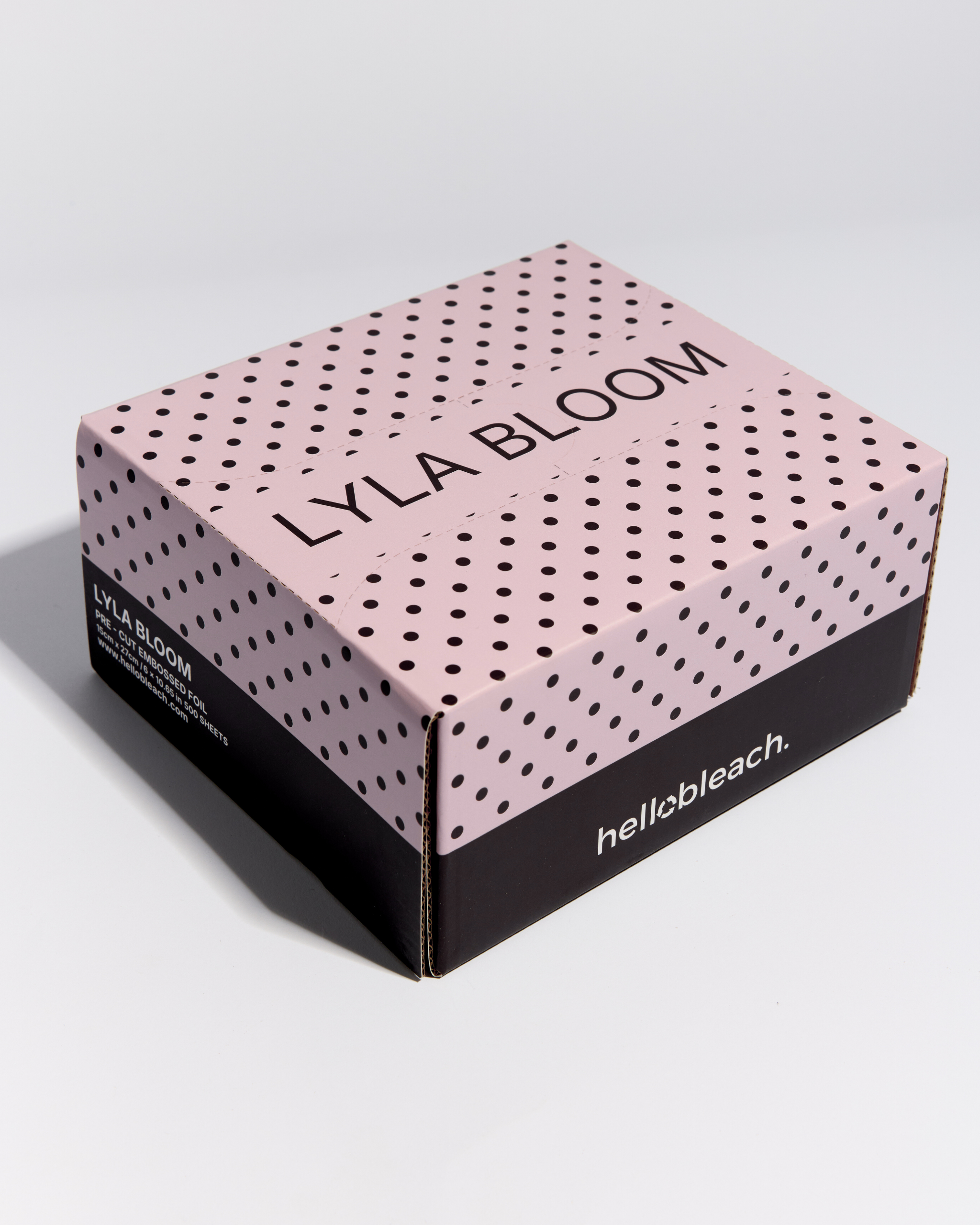 Le fouet de Hello Bleach