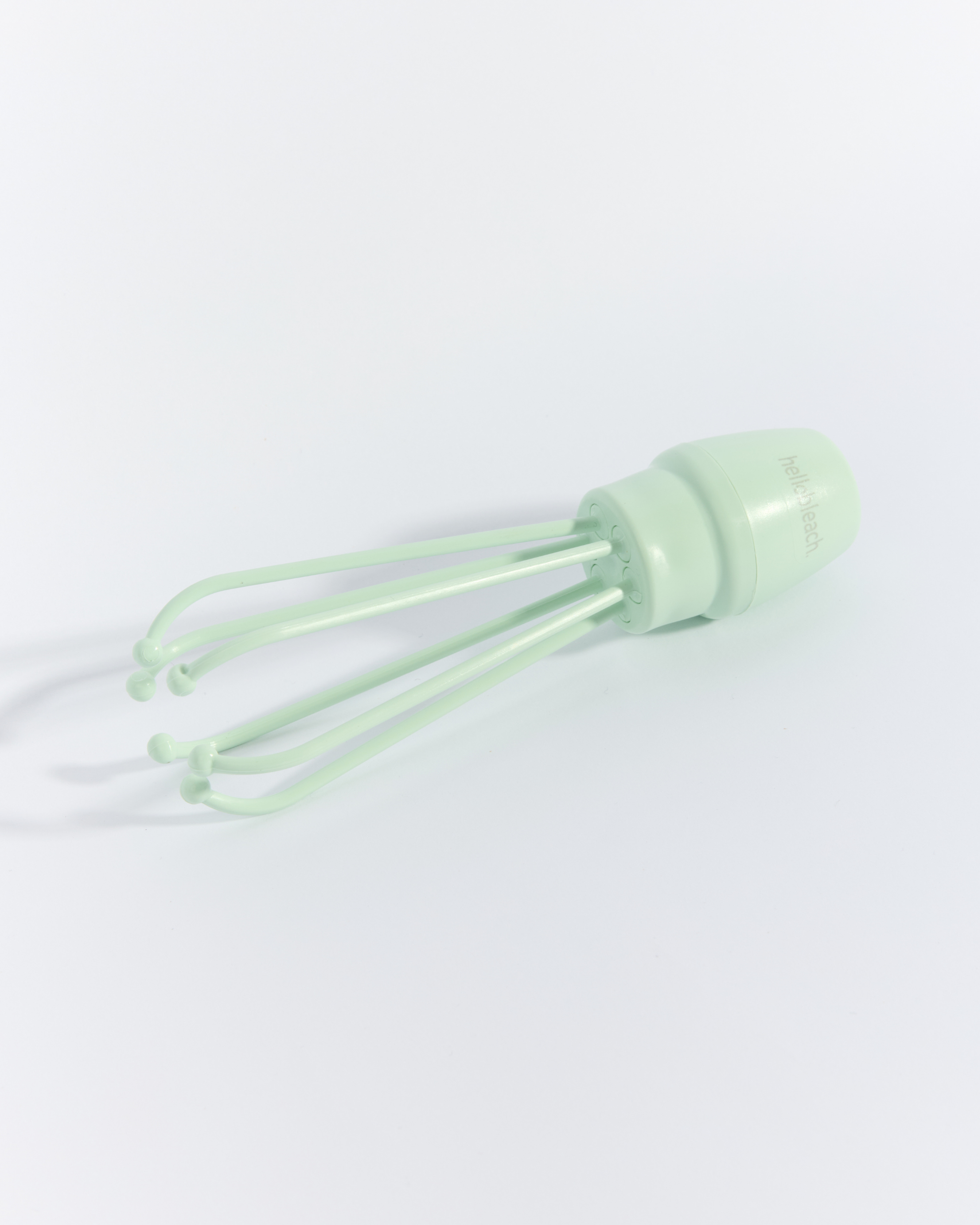 Le fouet de Hello Bleach