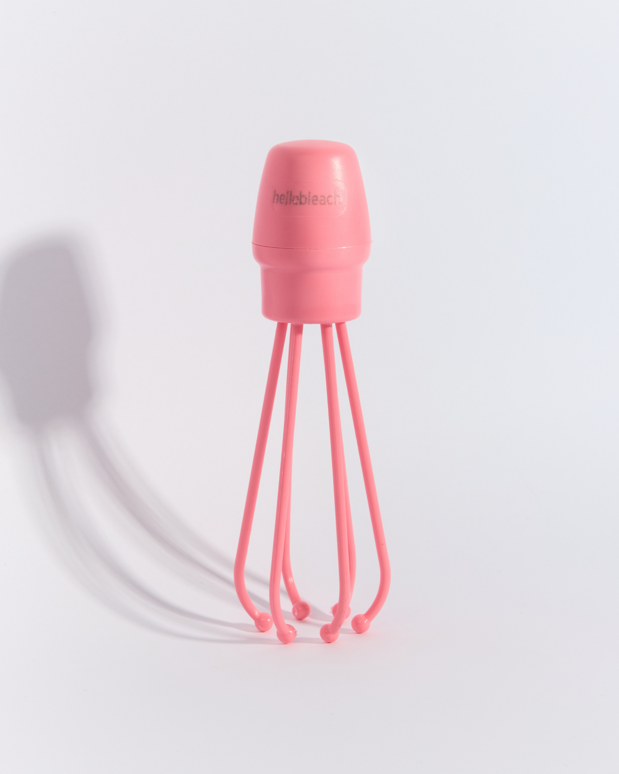 The Whisk
